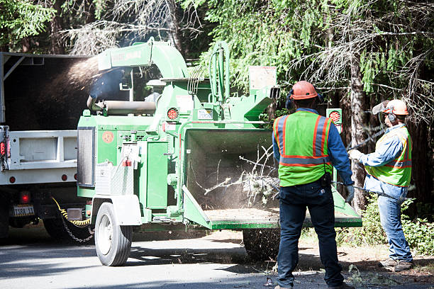 Best Firewood Processing and Delivery  in Shoemakersville, PA